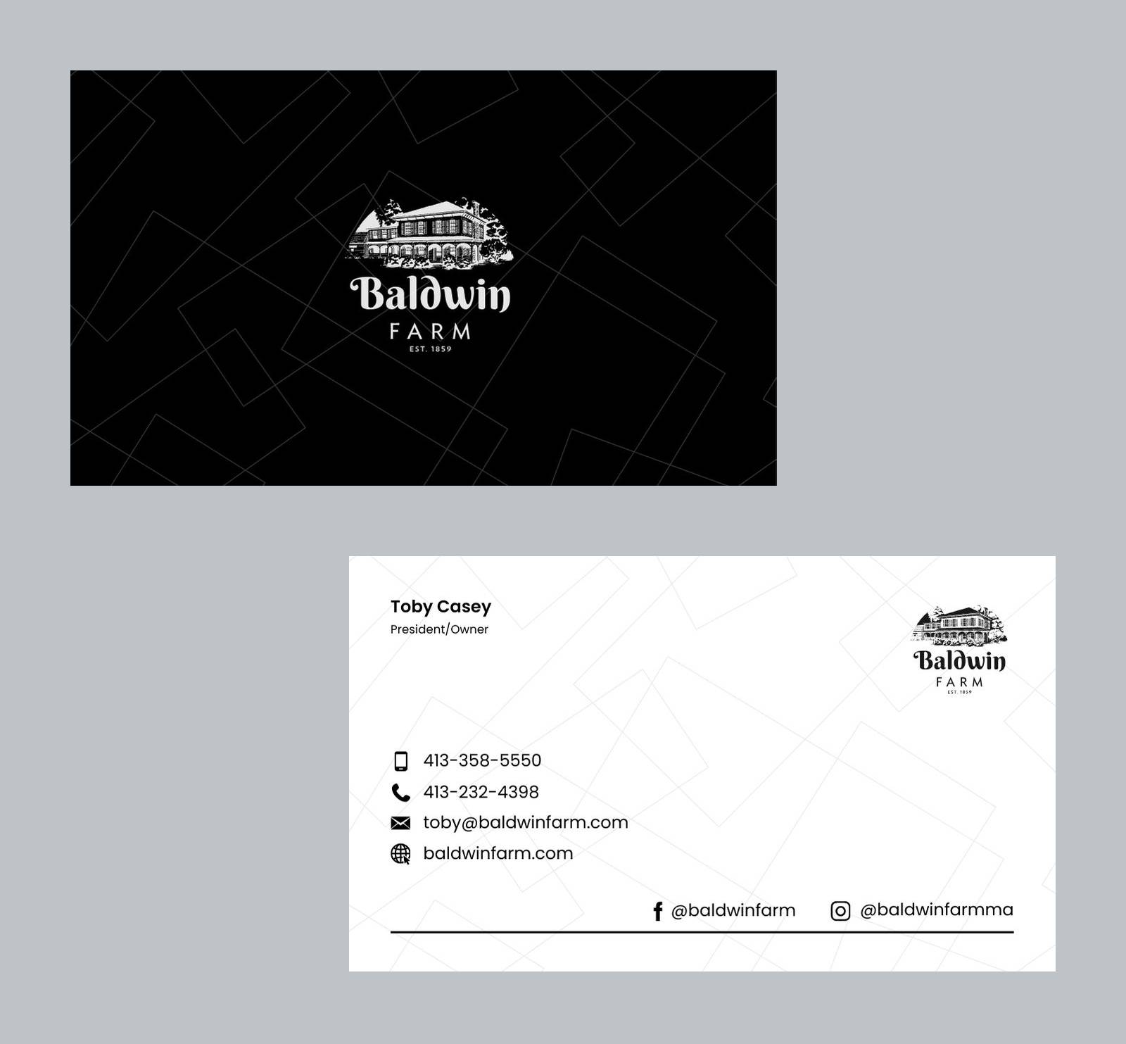 Business Card Design by WebDesk Solution for this project | Design #34682622