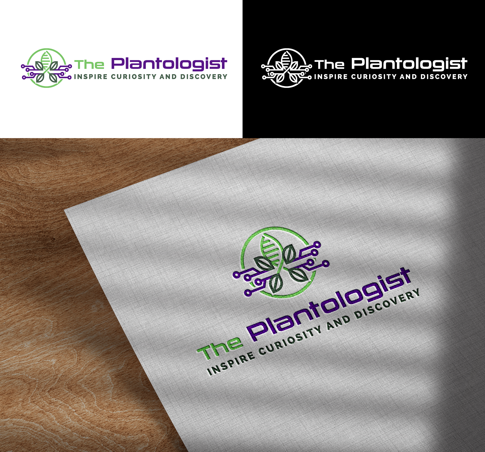 Diseño de Logo por RA-bica para este proyecto | Diseño #34657309