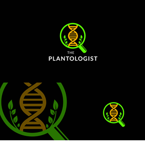 Logo Design by Dreamart 2 for this project | Design: #34686806