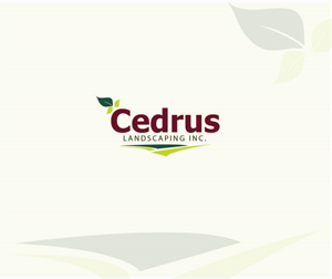 Logo Design by md salauddin kader