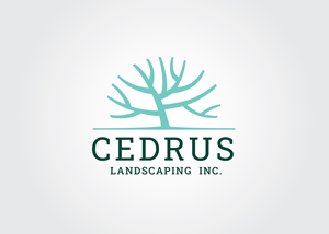 Logo Design by Irina Makedonska