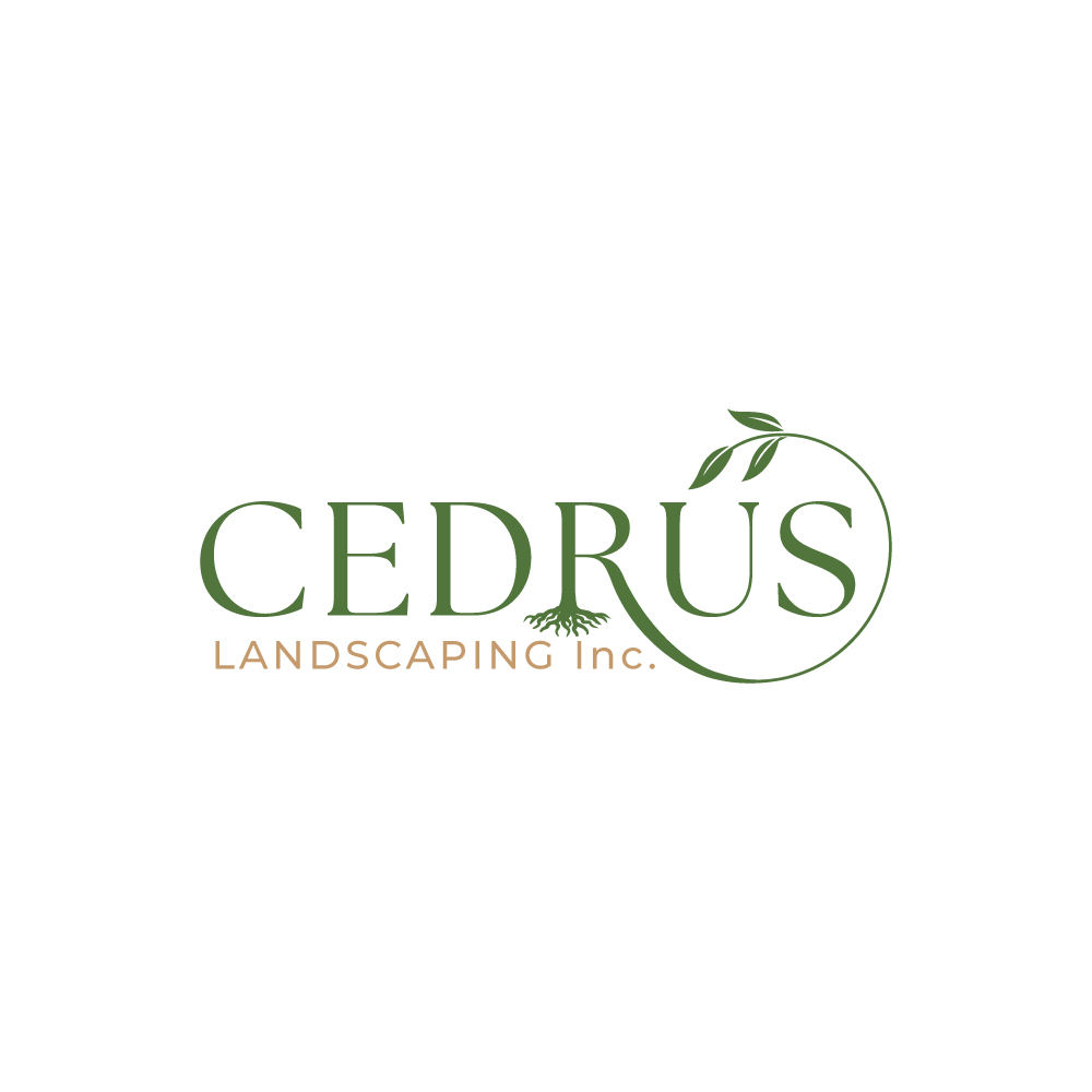 Diseño de Logo por FellaCreator para este proyecto | Diseño #34666961