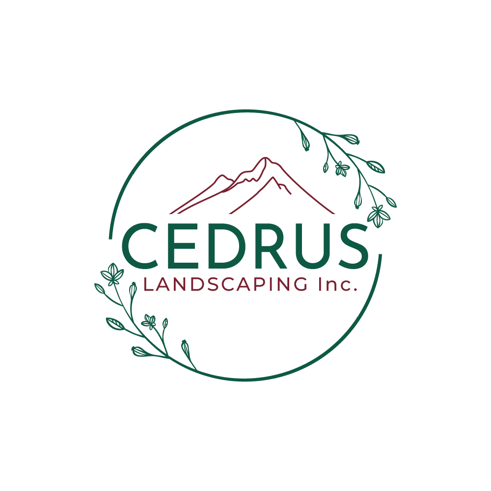 Logo Design by FellaCreator for this project | Design #34691745