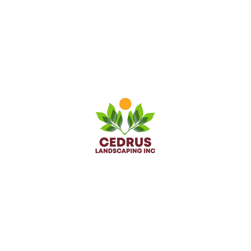 Logo Design by Coli for this project | Design #34694173
