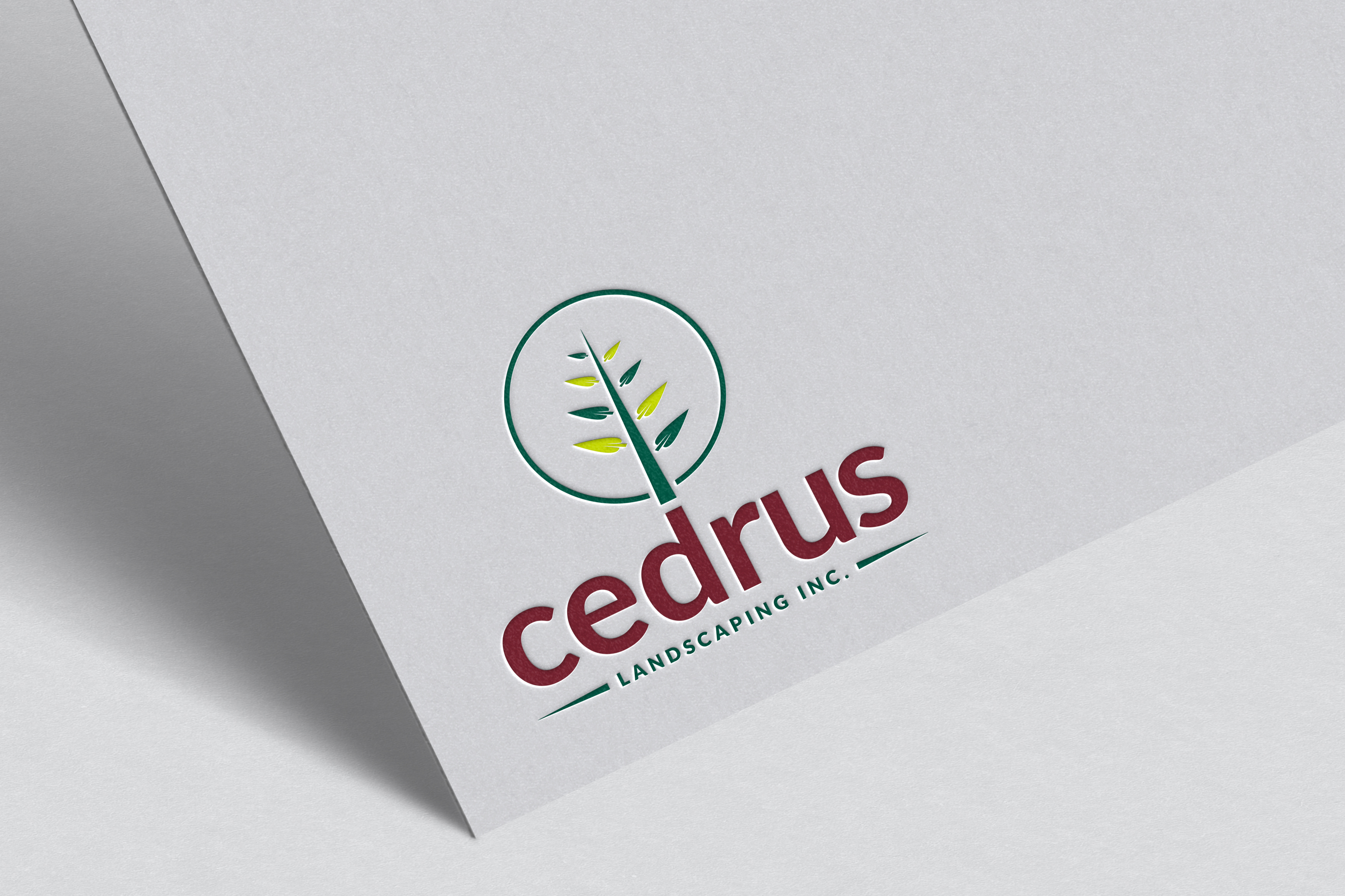 Logo Design by Tube light for this project | Design #34753113