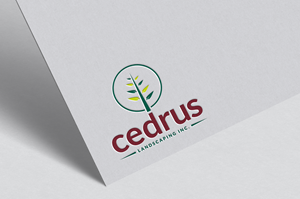 Logo Design by Tube light for this project | Design: #34753113
