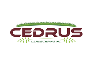 Logo Design by electronymous for this project | Design: #34748132
