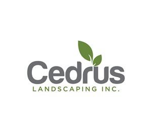 Logo Design by Nova_Create for this project | Design: #34652664