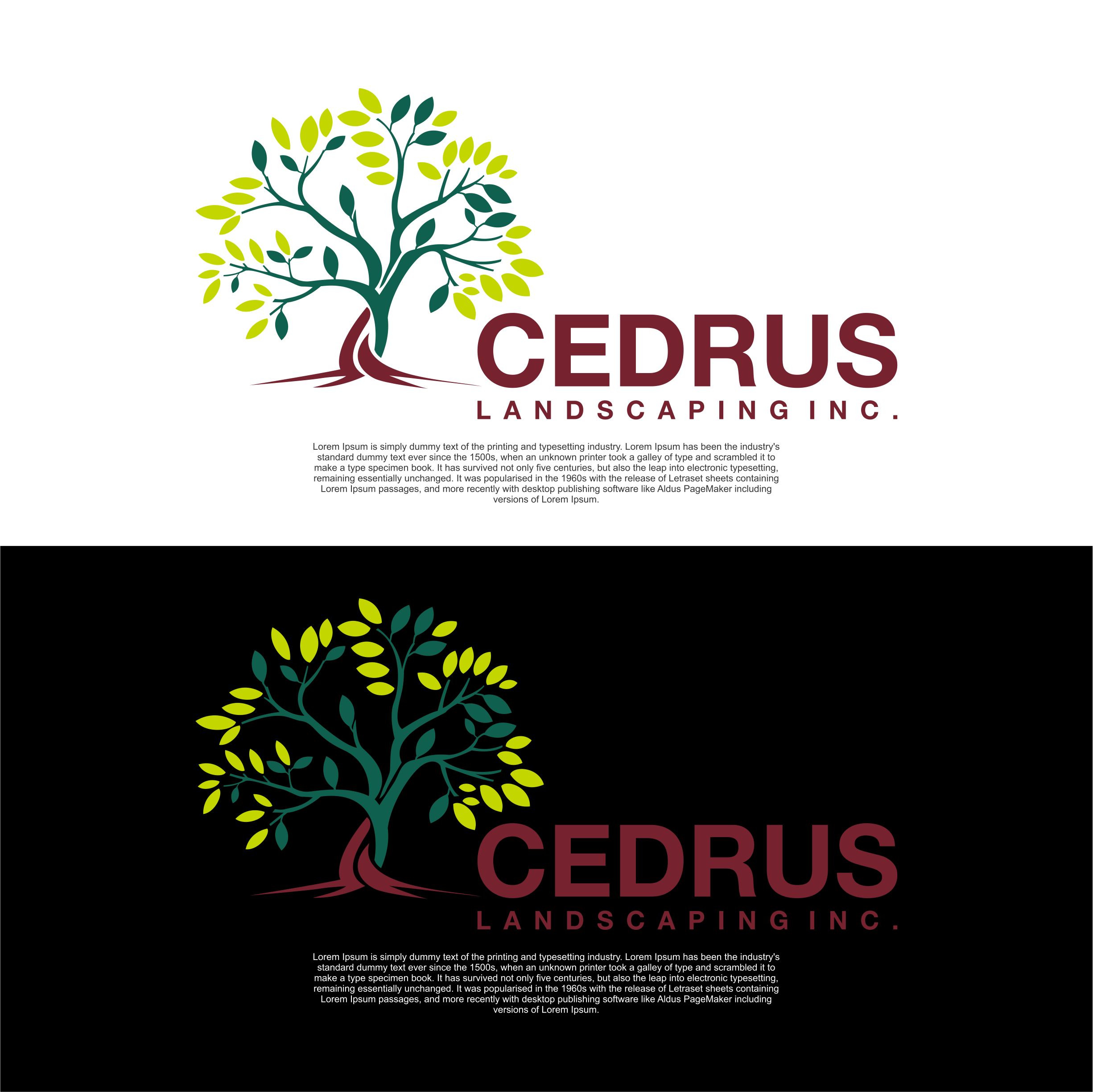 Logo Design by diego costa for this project | Design #34755378