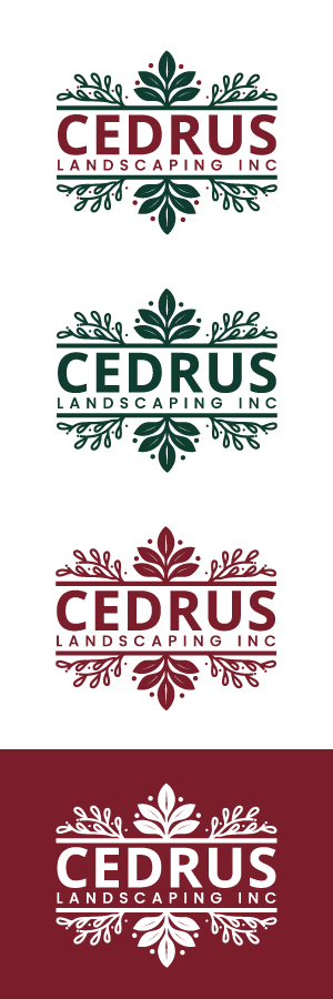 Logo Design by Ameer007