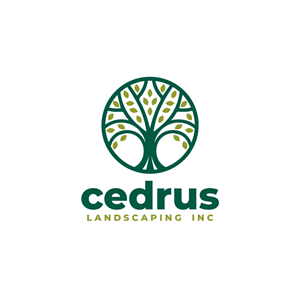 Logo Design by dianagargaritza for this project | Design: #34653836