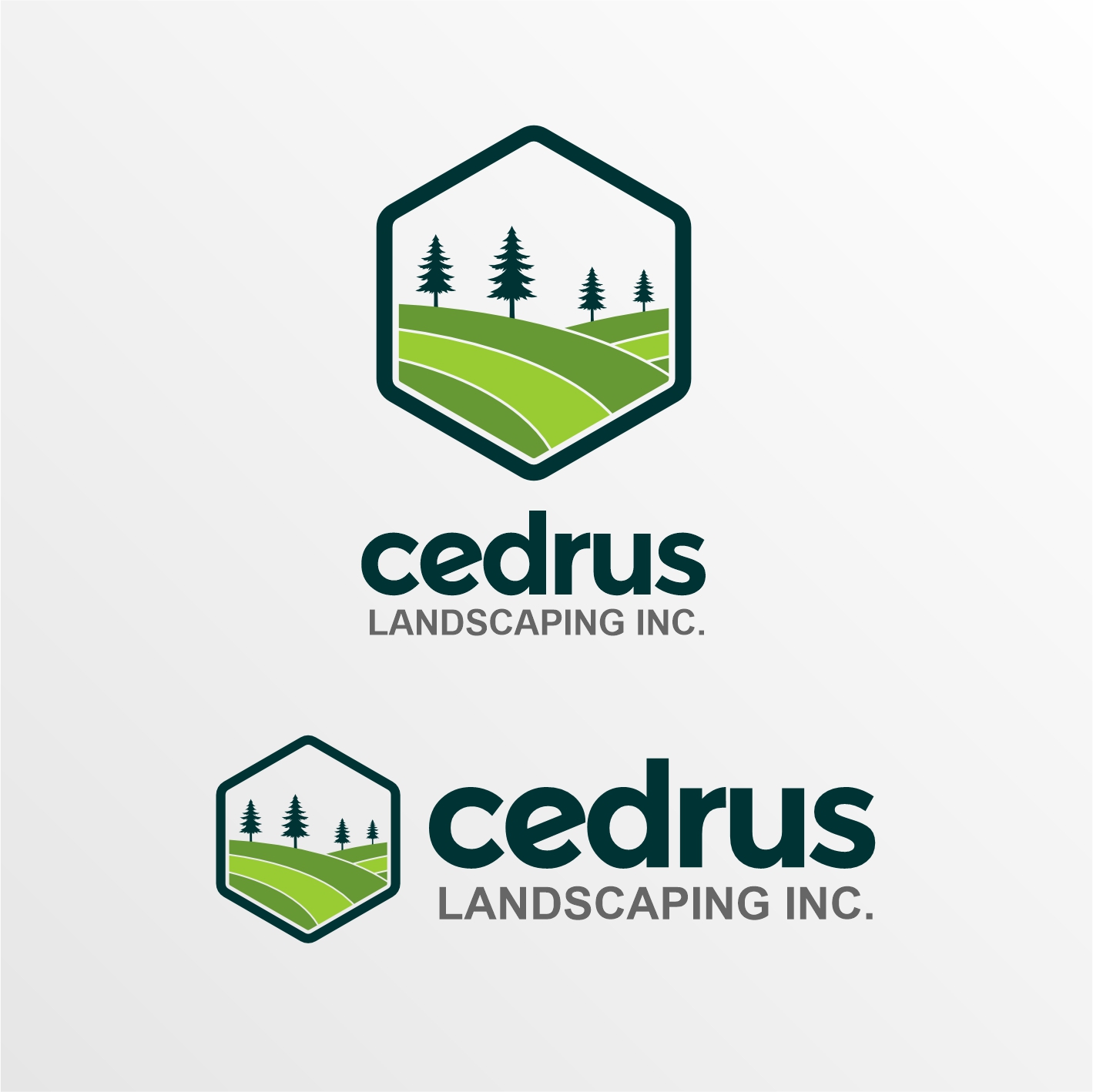 Logo Design by WiraDS for this project | Design #34689725