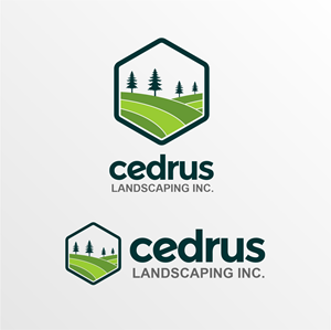 Diseño de Logo por WiraDS para este proyecto | Diseño: #34689725