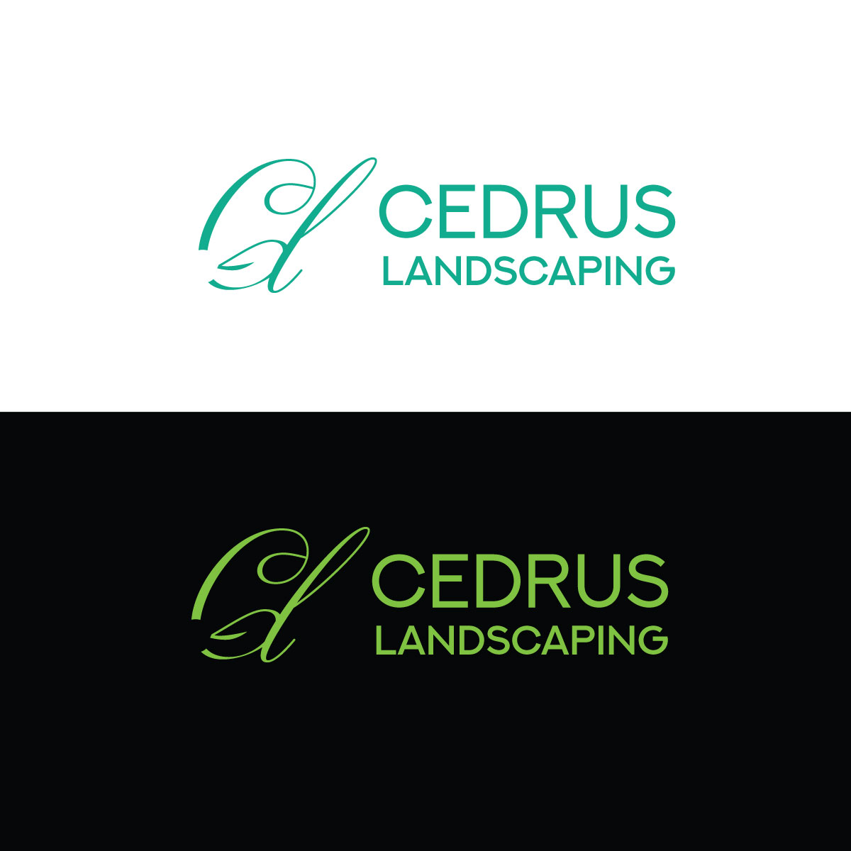 Logo Design by Dhimant Maloo for this project | Design #34654062