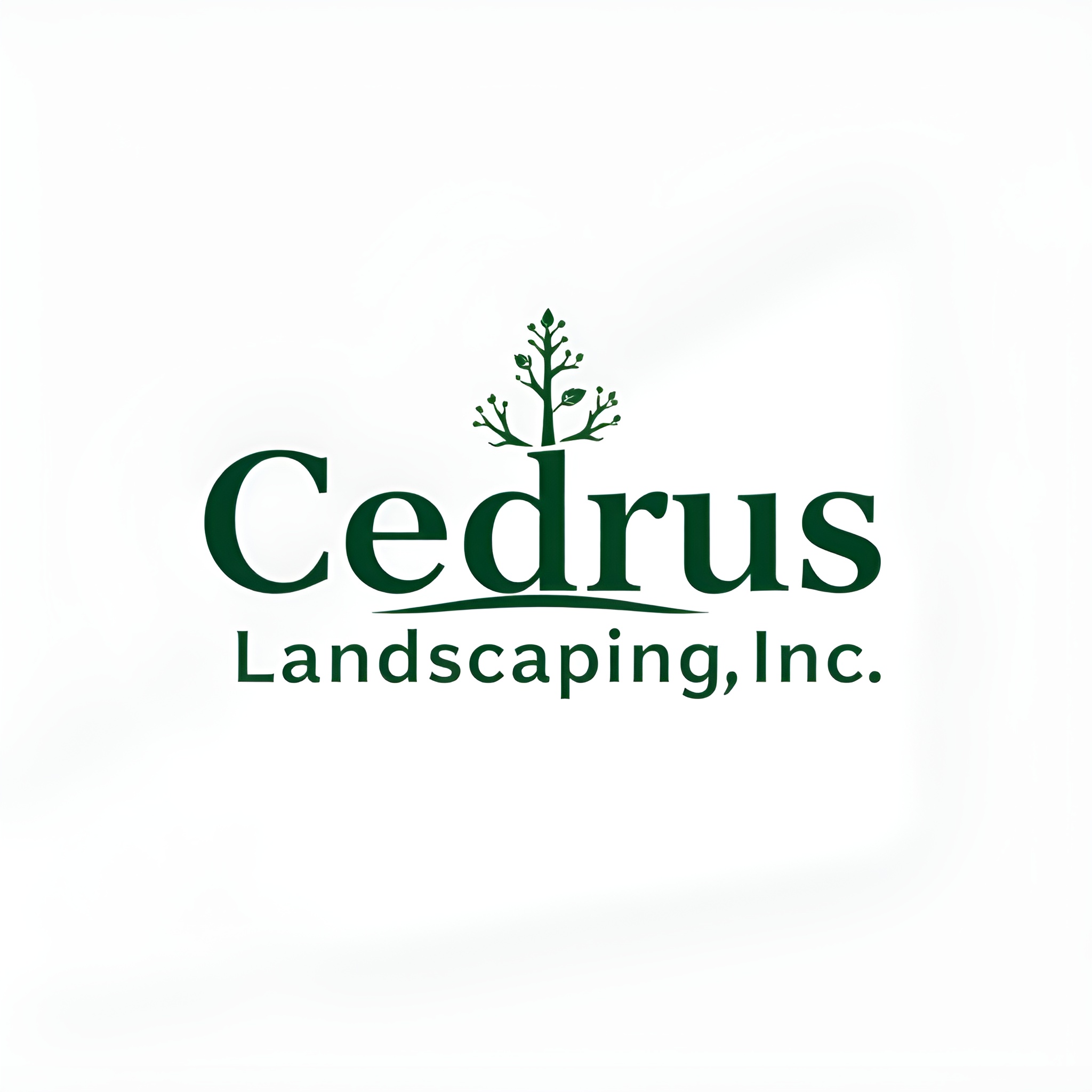 Logo Design by Ziyab Khan for this project | Design #34656405