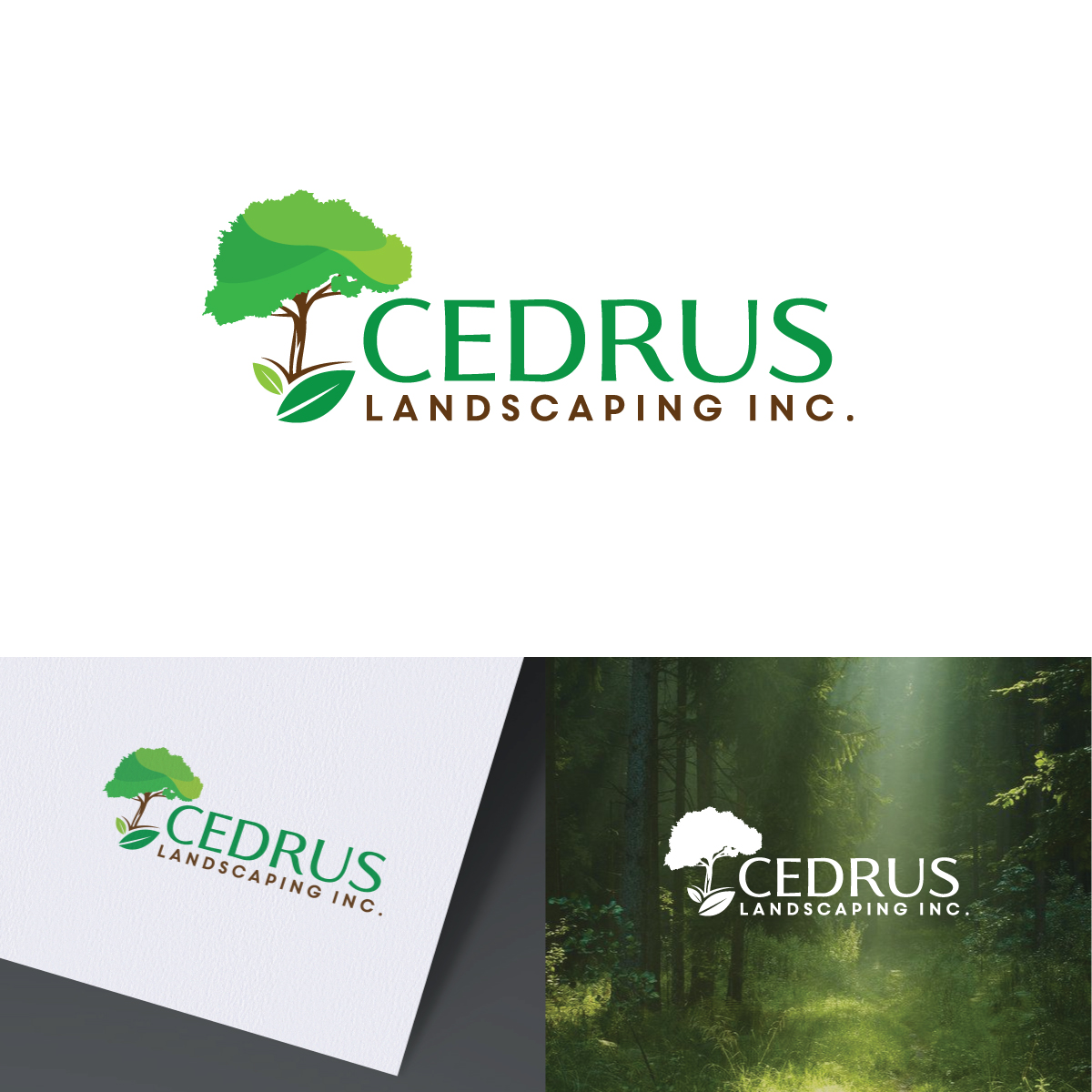 Logo Design by AbhishekkM'24 for this project | Design #34675832