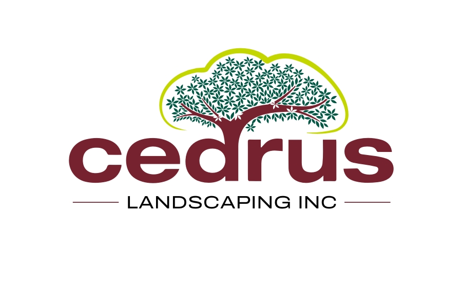 Logo Design by iamrady for this project | Design #34682073