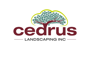 Logo Design by iamrady for this project | Design: #34682073