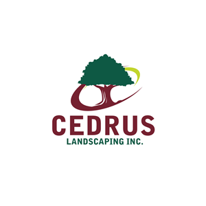 Logo Design by geni for this project | Design #34677517