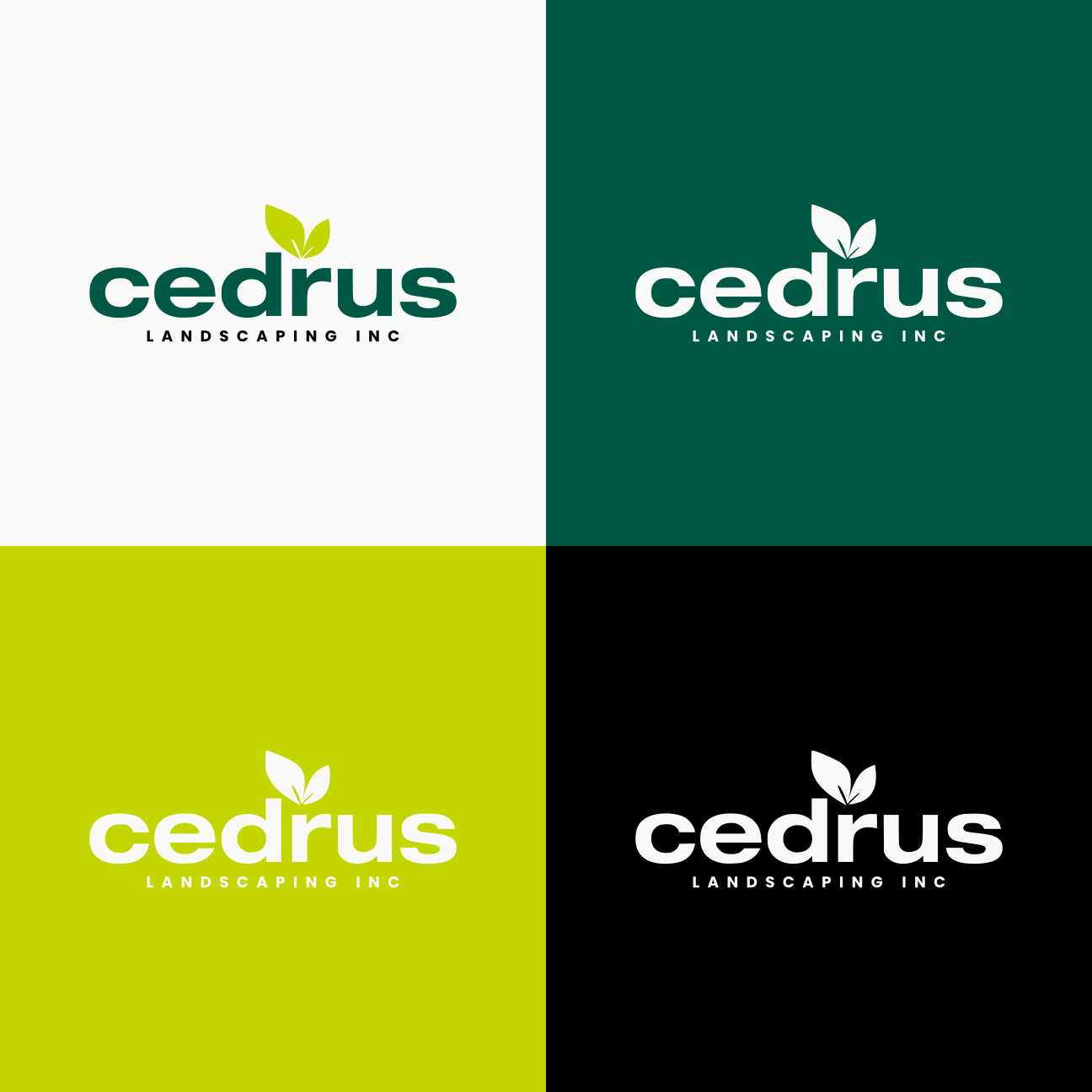 Logo Design by GraphicSujit for this project | Design #34754554