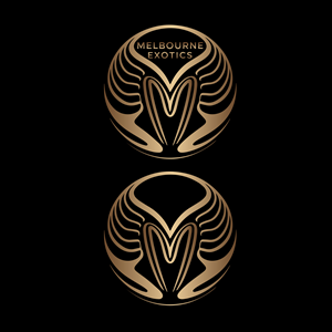 Logo-Design von Shariqology für dieses Projekt | Design: #34656034