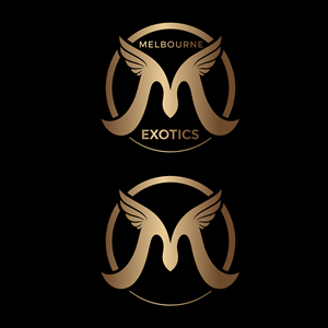 Logo-Design von Shariqology für dieses Projekt | Design: #34656037