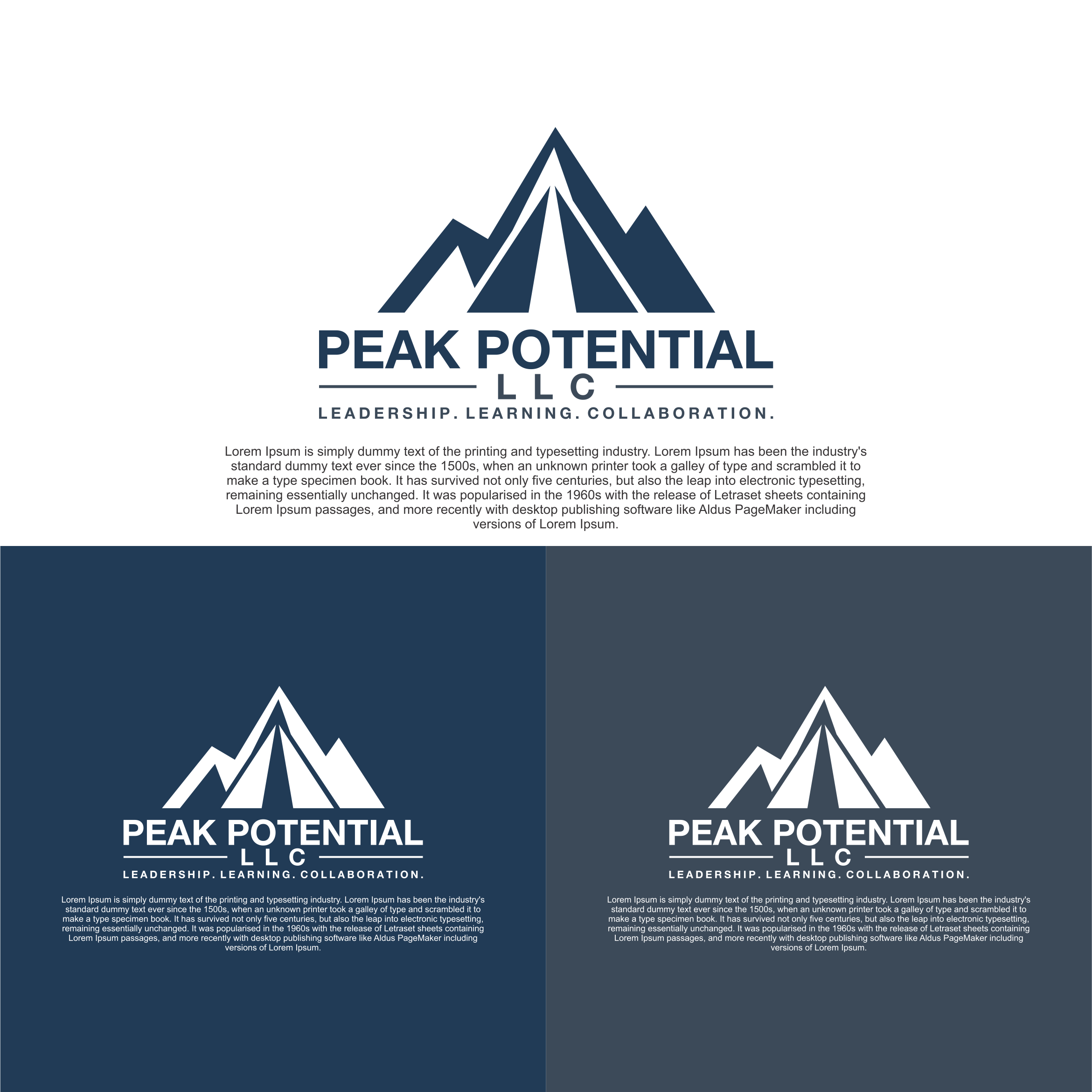 Logo Design by diego costa for Peak Potential, LLC | Design #34665770