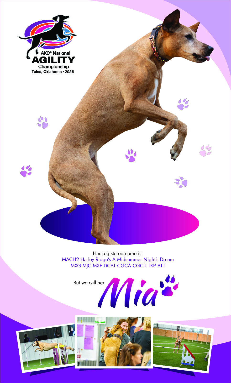 Graphic Design by MNM for this project | Design #34660683
