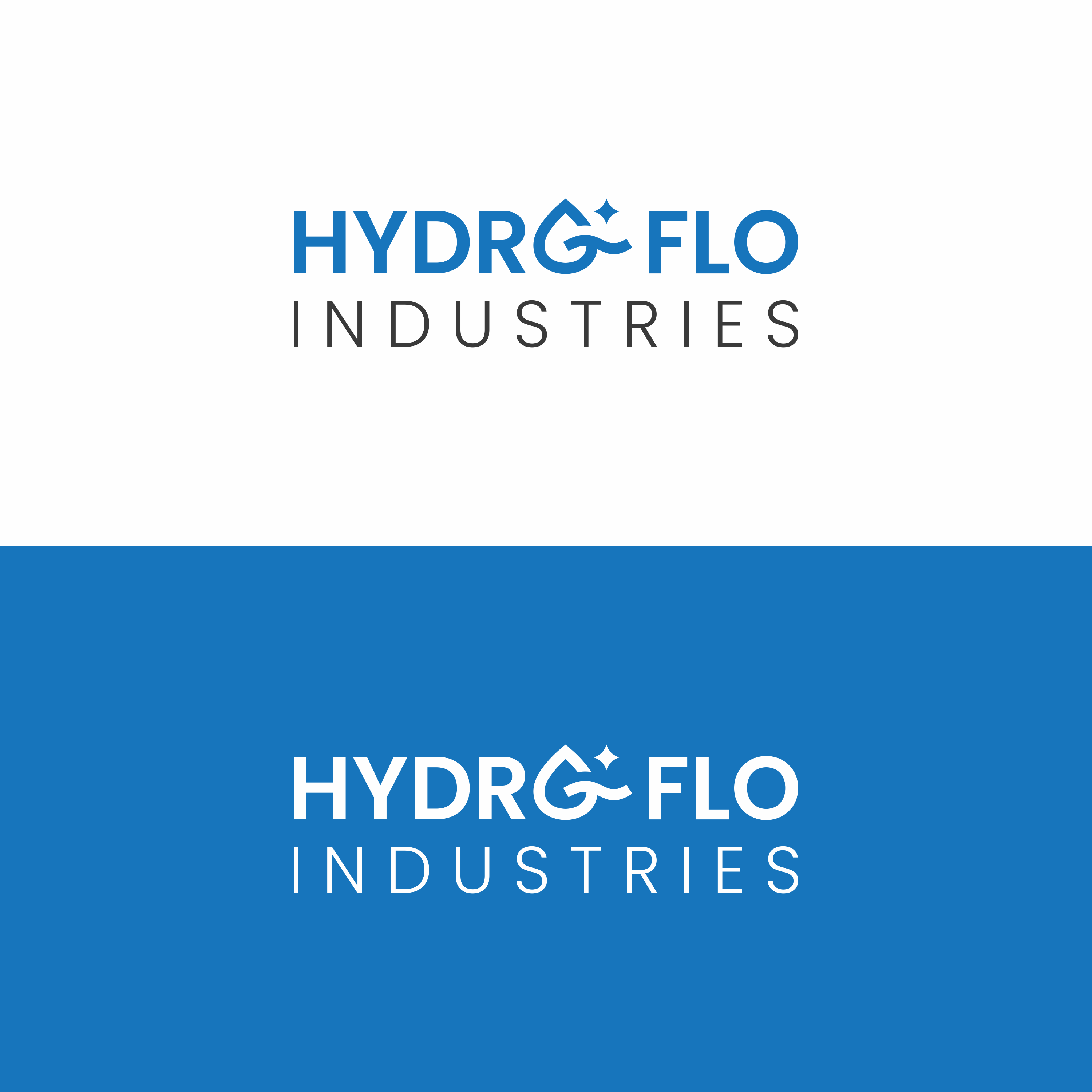 Diseño de Logo por madrisaldi para este proyecto | Diseño #34662065