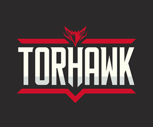 Logo Design by Artify360