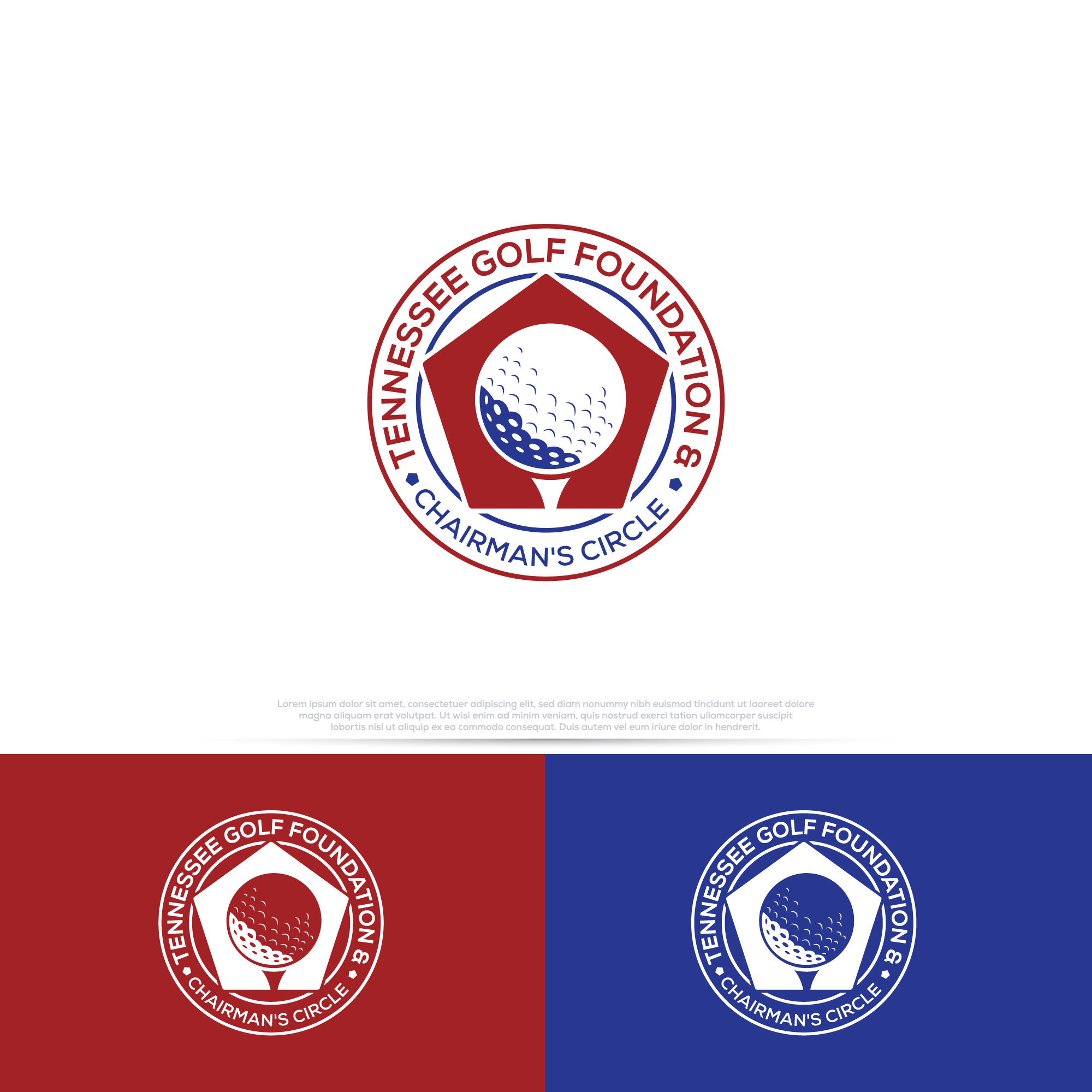 Logo Design by Pilot_DesignR™ for this project | Design #34662575