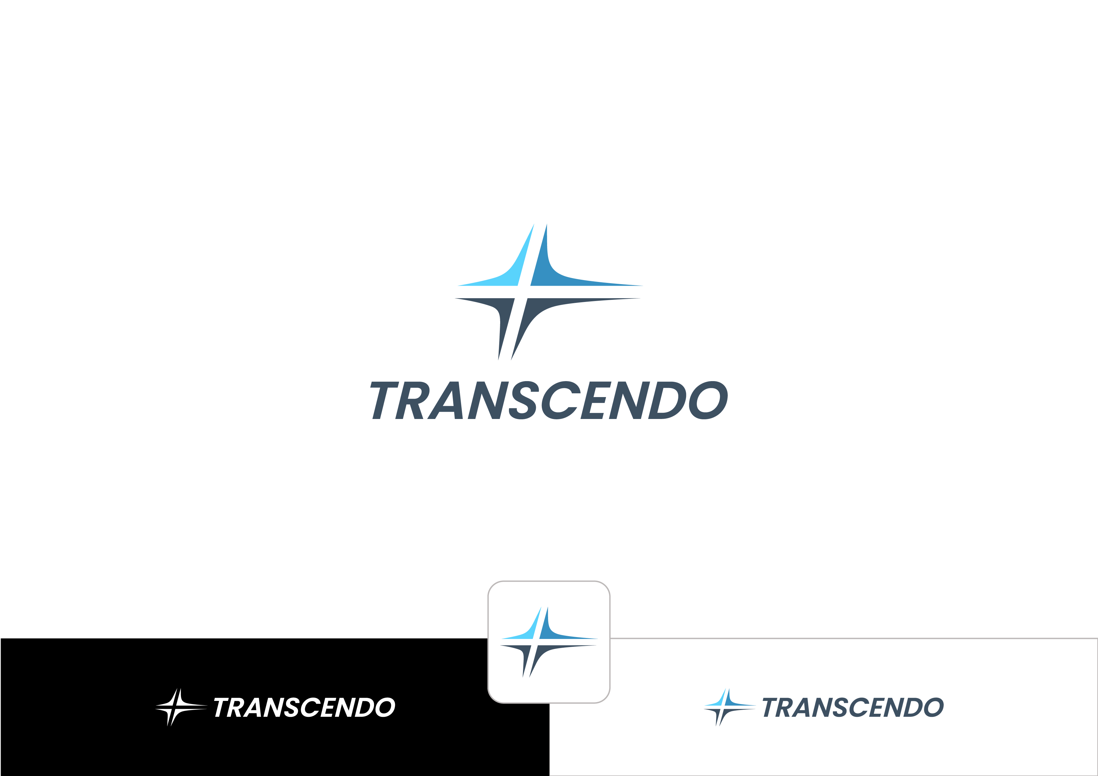 Diseño de Logo por ~idiaz~ para Transcendo Limited | Diseño #34709916