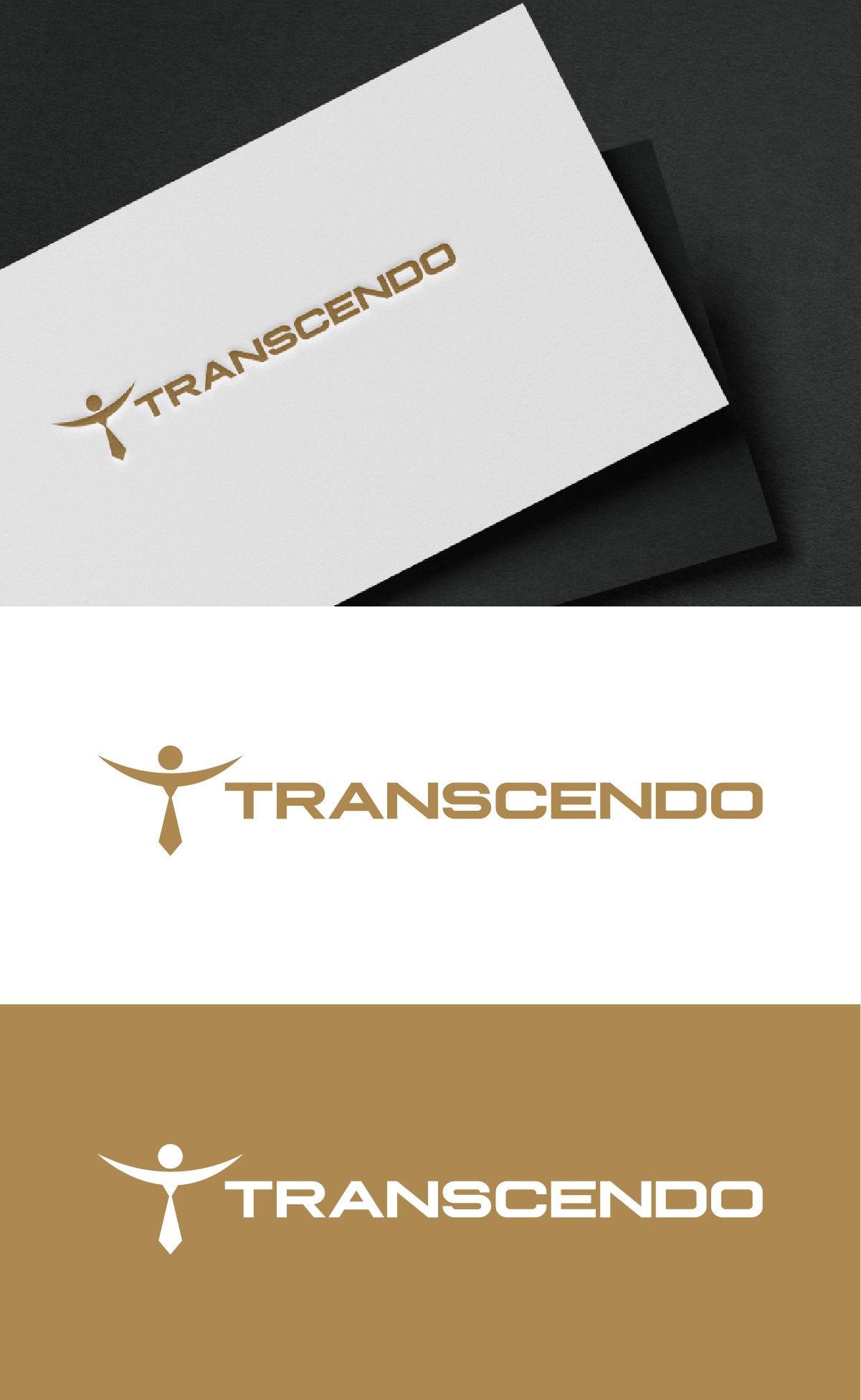 Logo Design by fly  design for Transcendo Limited | Design #34676412