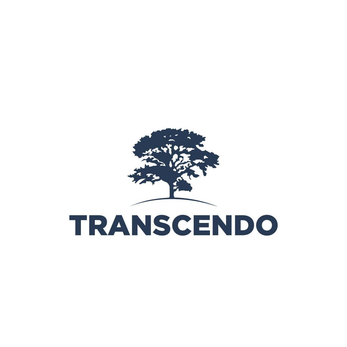Logo Design by fly  design for Transcendo Limited | Design #34676417