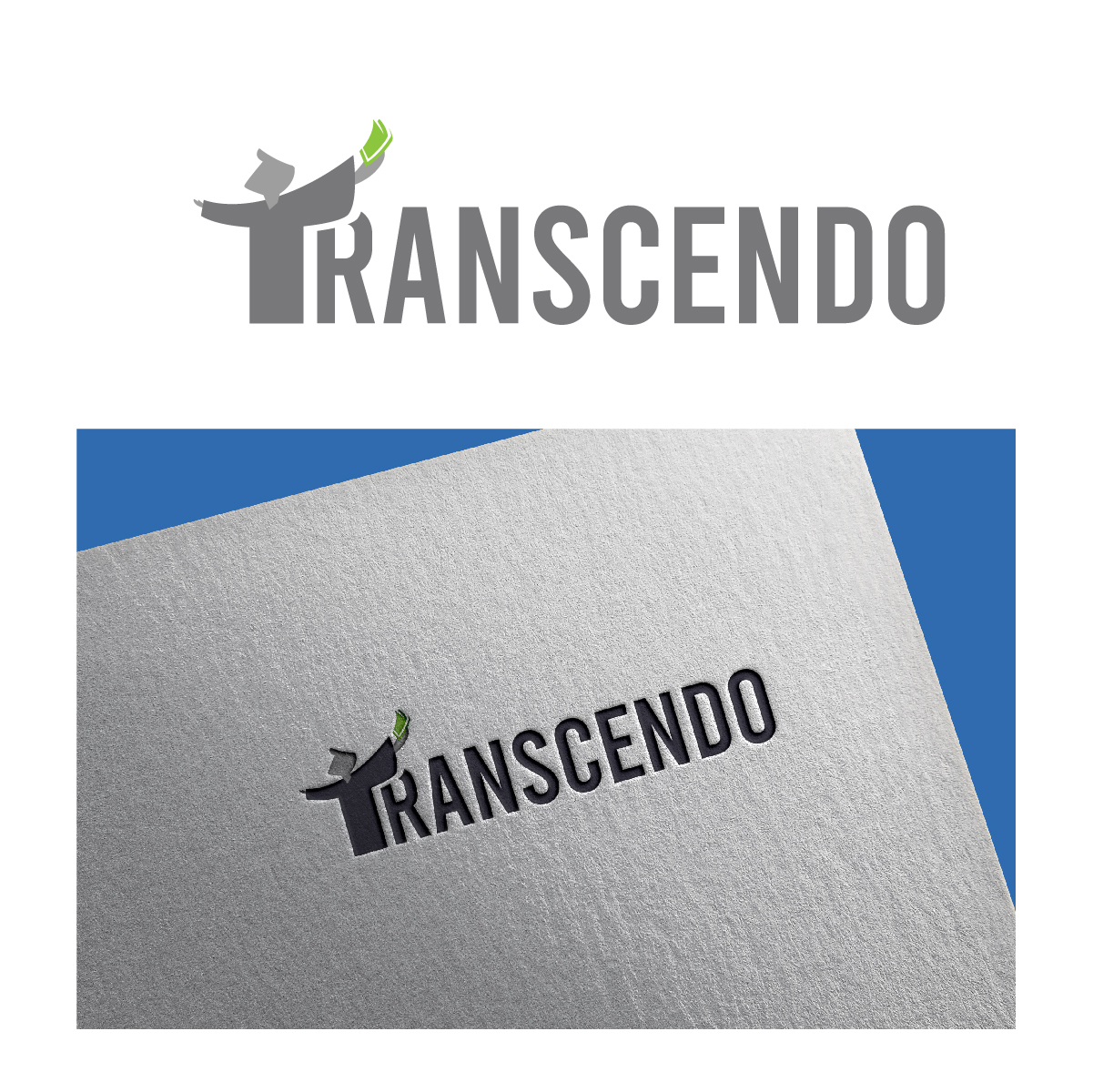 Logo Design by fly  design for Transcendo Limited | Design #34676420