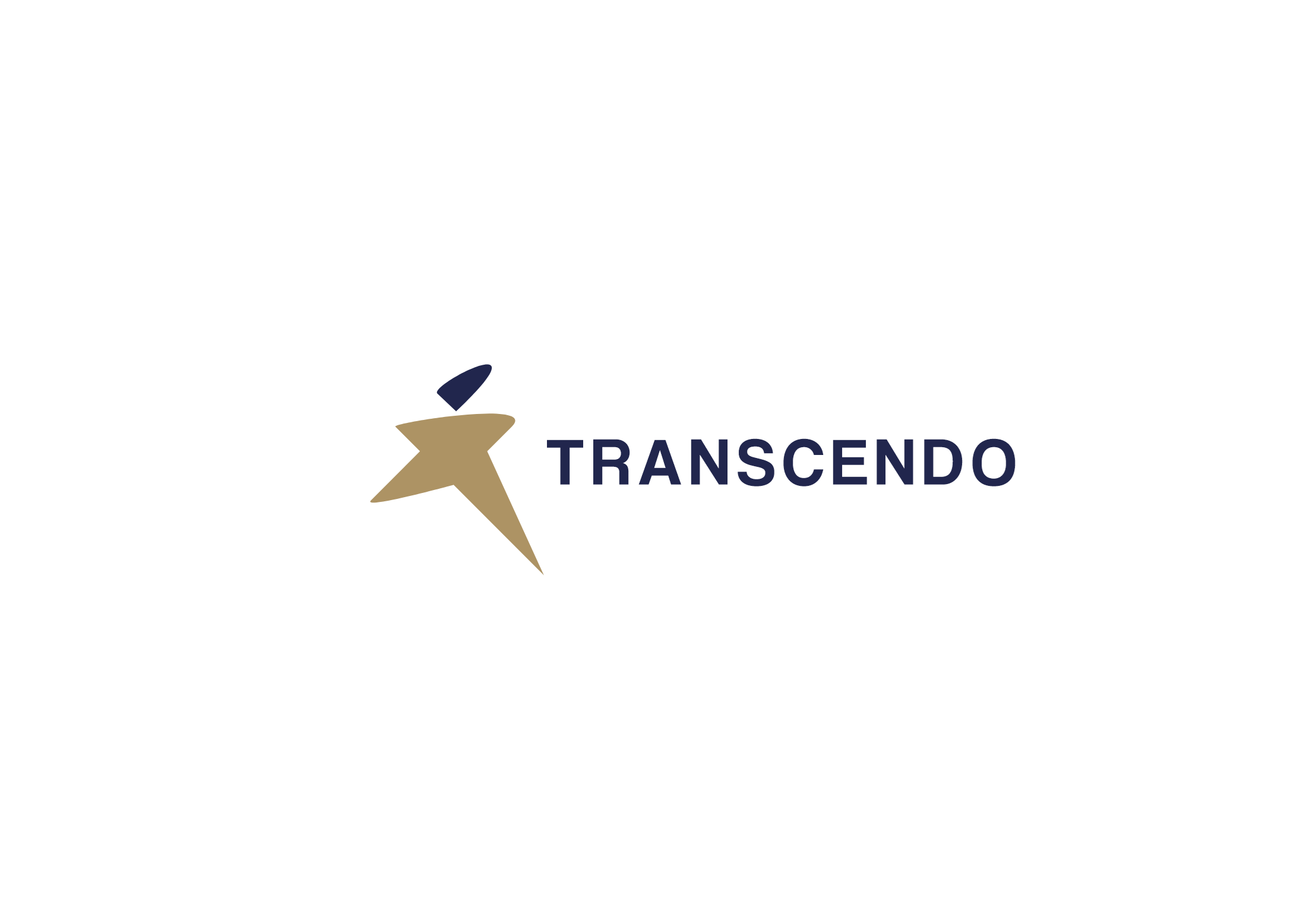 Logo Design by Stelery for Transcendo Limited | Design #34675678