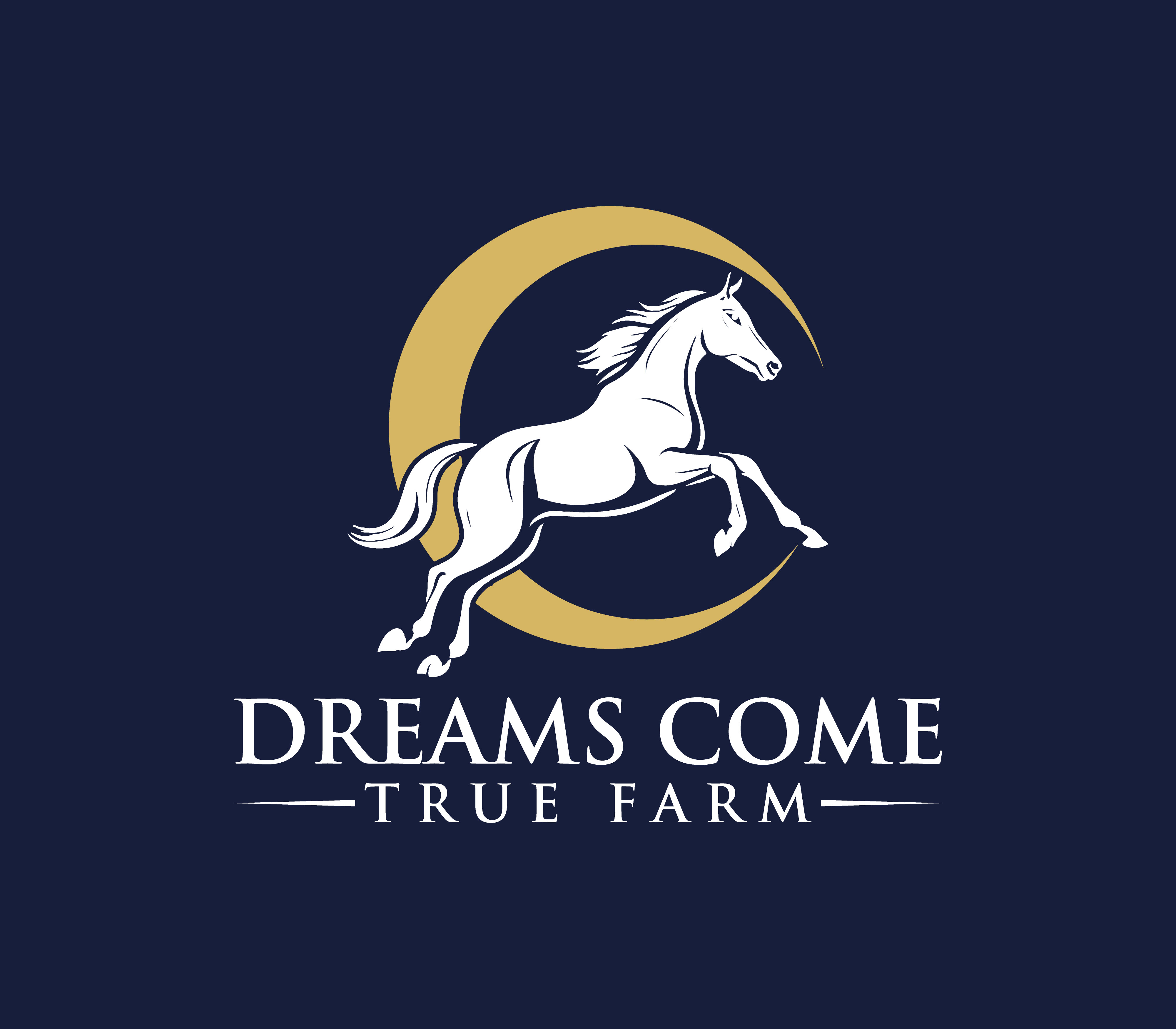 Logo Design by Nova_Create for this project | Design #34673899