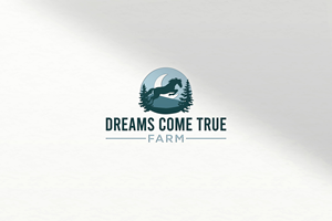 Dreams Come True Farm horse farm and wellness retreat space