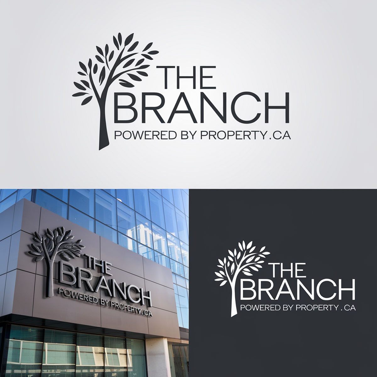 Logo Design by mekail for this project | Design #34674907