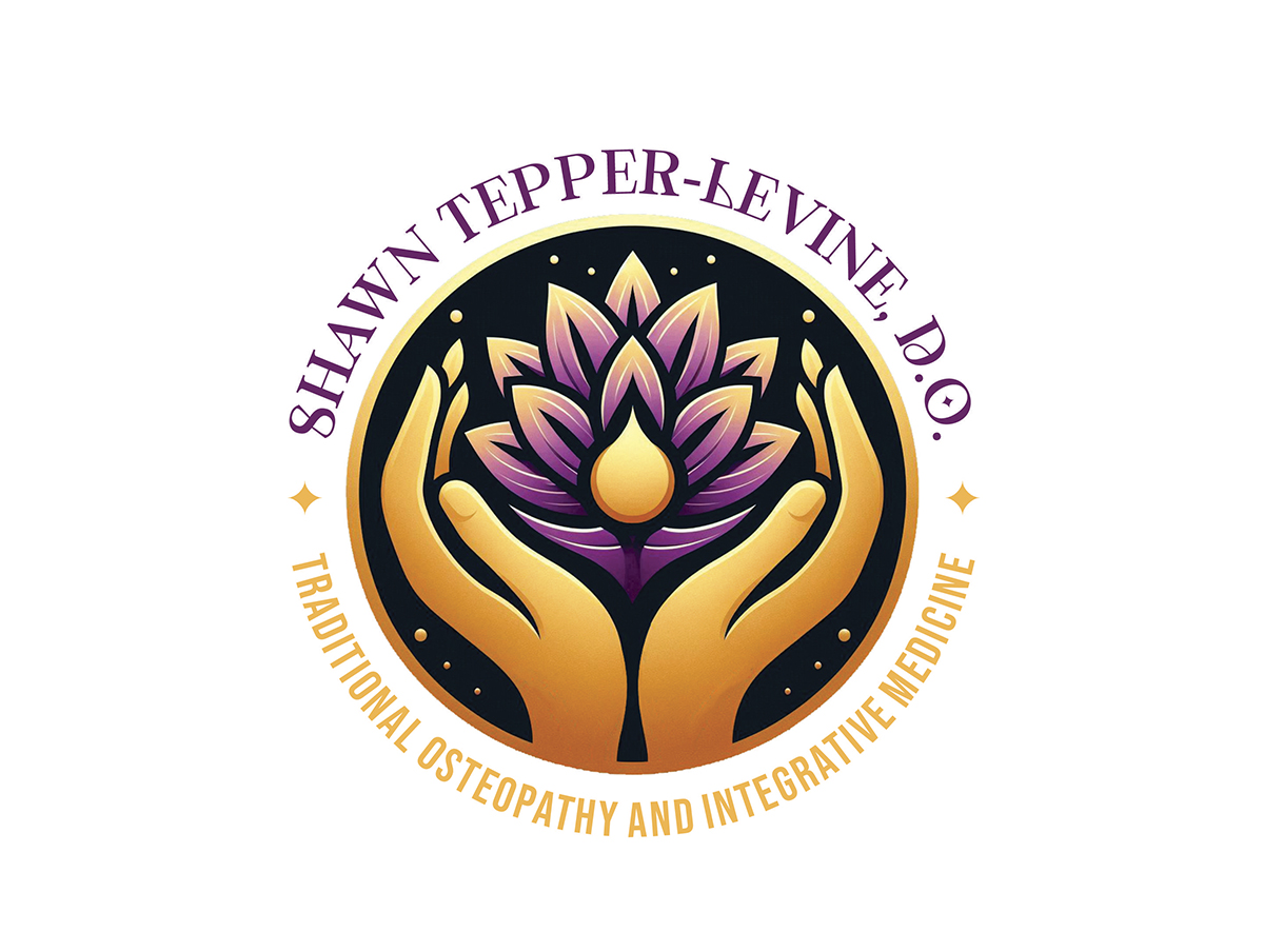 Logo Design by Zonda Studio for this project | Design #34719943