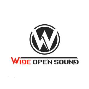 Logo Design by Rita94 for sincyr designs | Design: #34752626