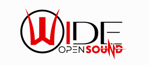 Logo Design by Rajib Bhattacharya for sincyr designs | Design: #34756693