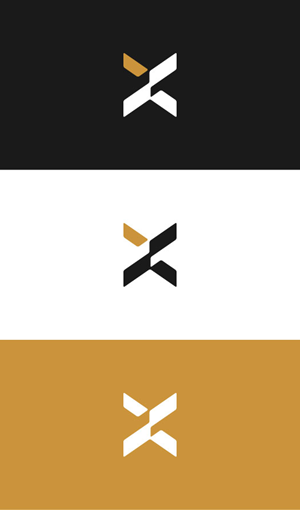 Design de Logo par Nash_Shaha pour ce projet | Design : #34734607