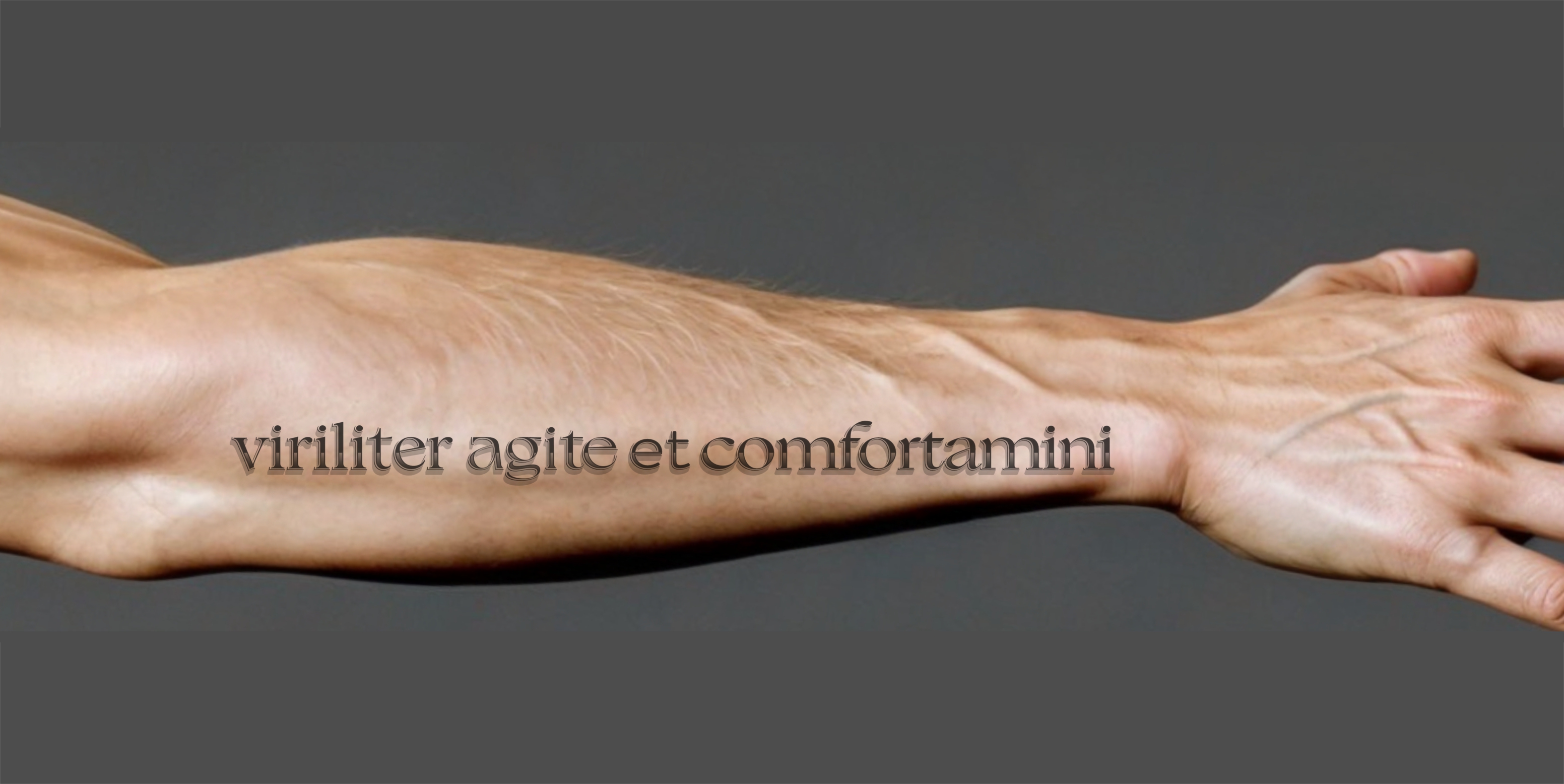 Diseño de Tatuaje por erikdesign para este proyecto | Diseño #34694393