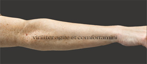 Tattoo Design by erikdesign for this project | Design: #34718754