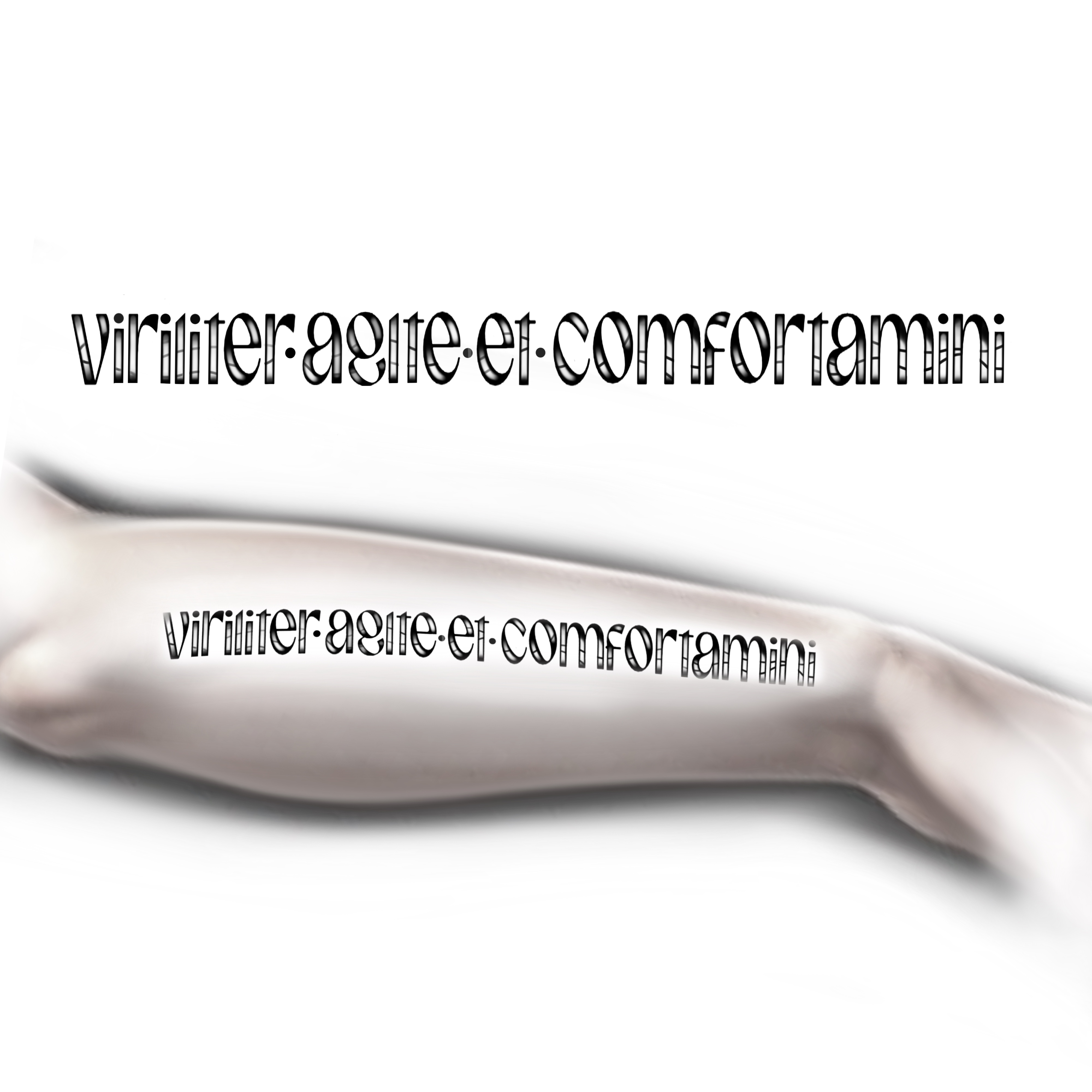 Design de Tatouage par Yevhen (Ukrdesign) pour ce projet | Design #34711607