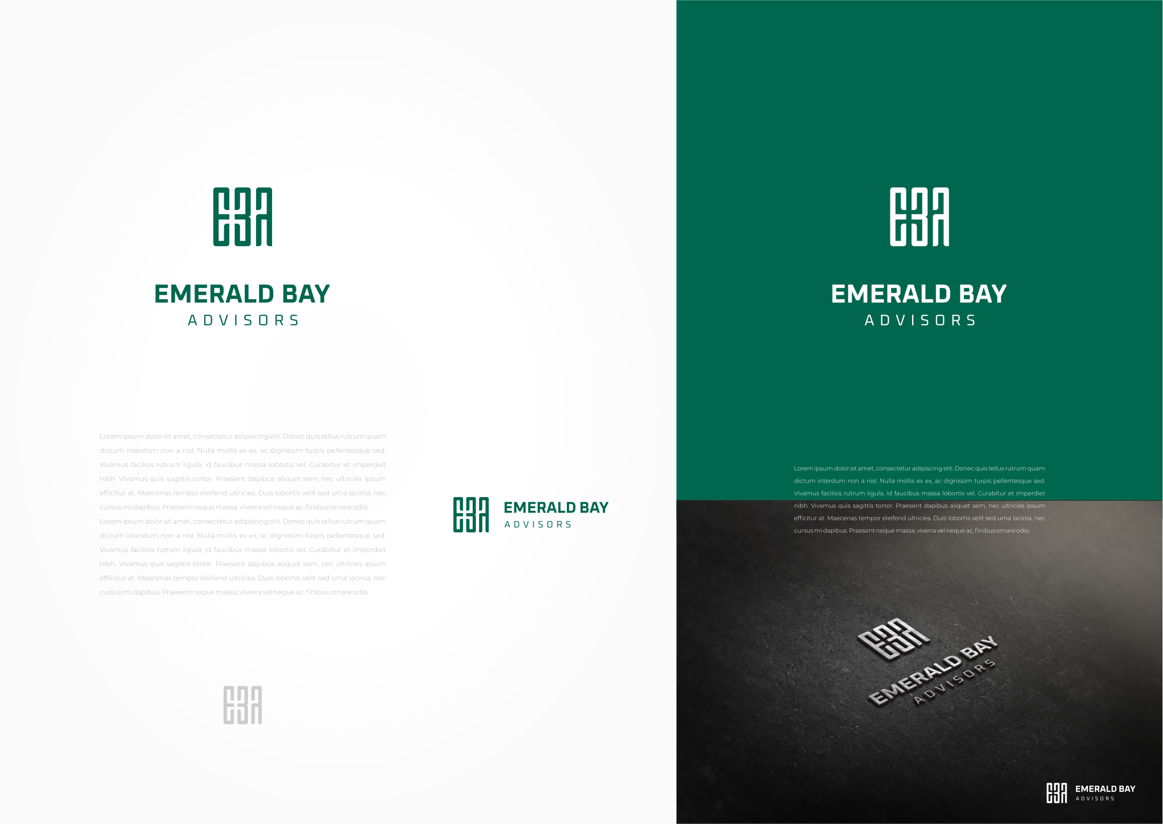 Logo Design by MishaDsign for this project | Design #34726825