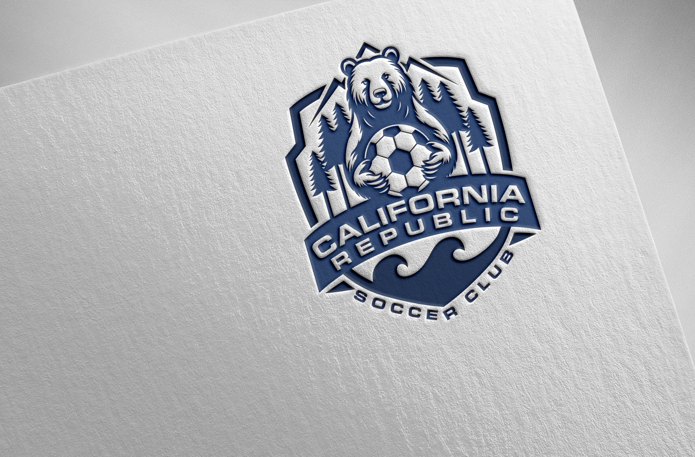 Logo Design by Pilot_DesignR™ for this project | Design #34706010