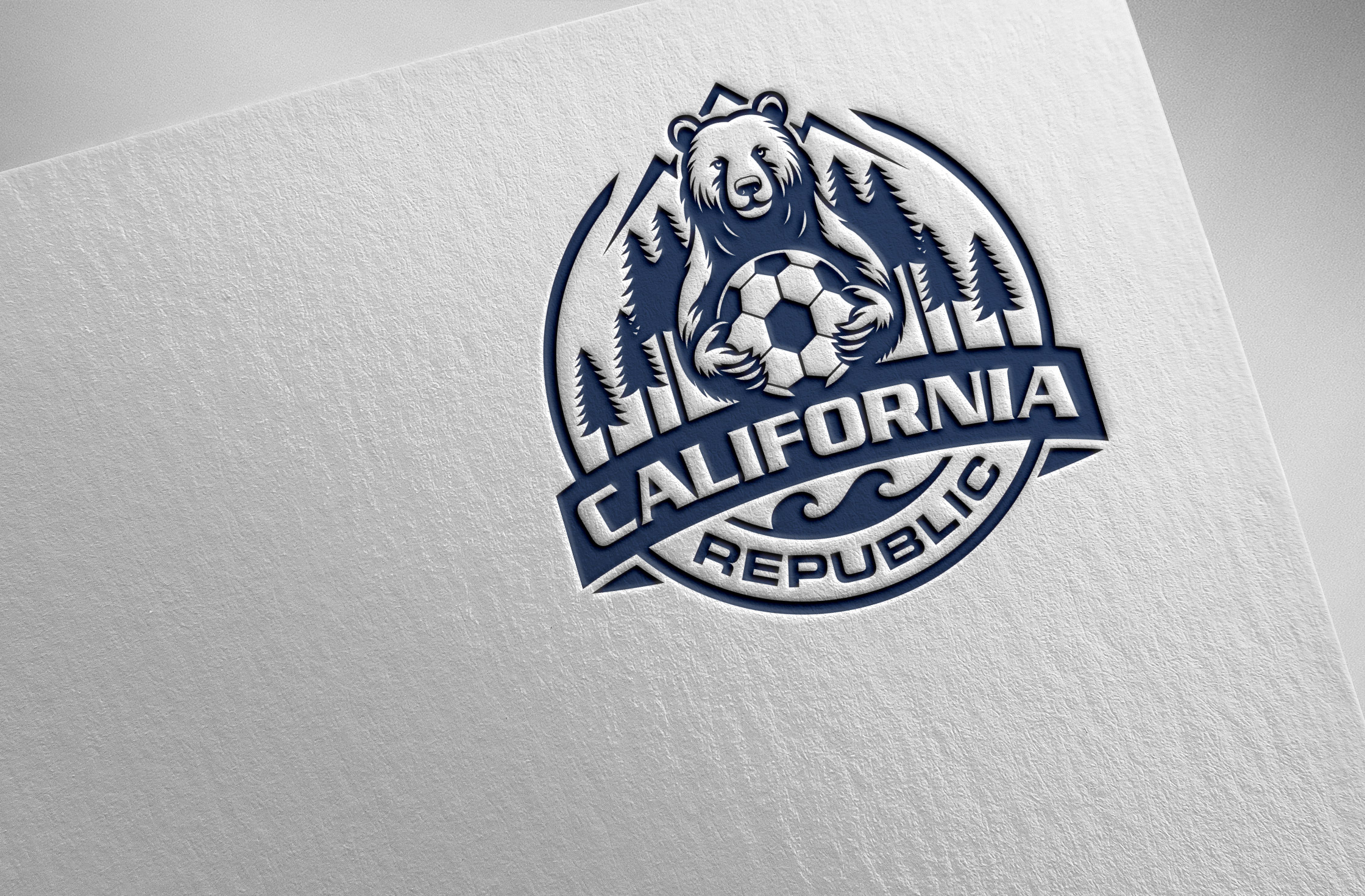 Logo-Design von Pilot_DesignR™ für dieses Projekt | Design #34706020