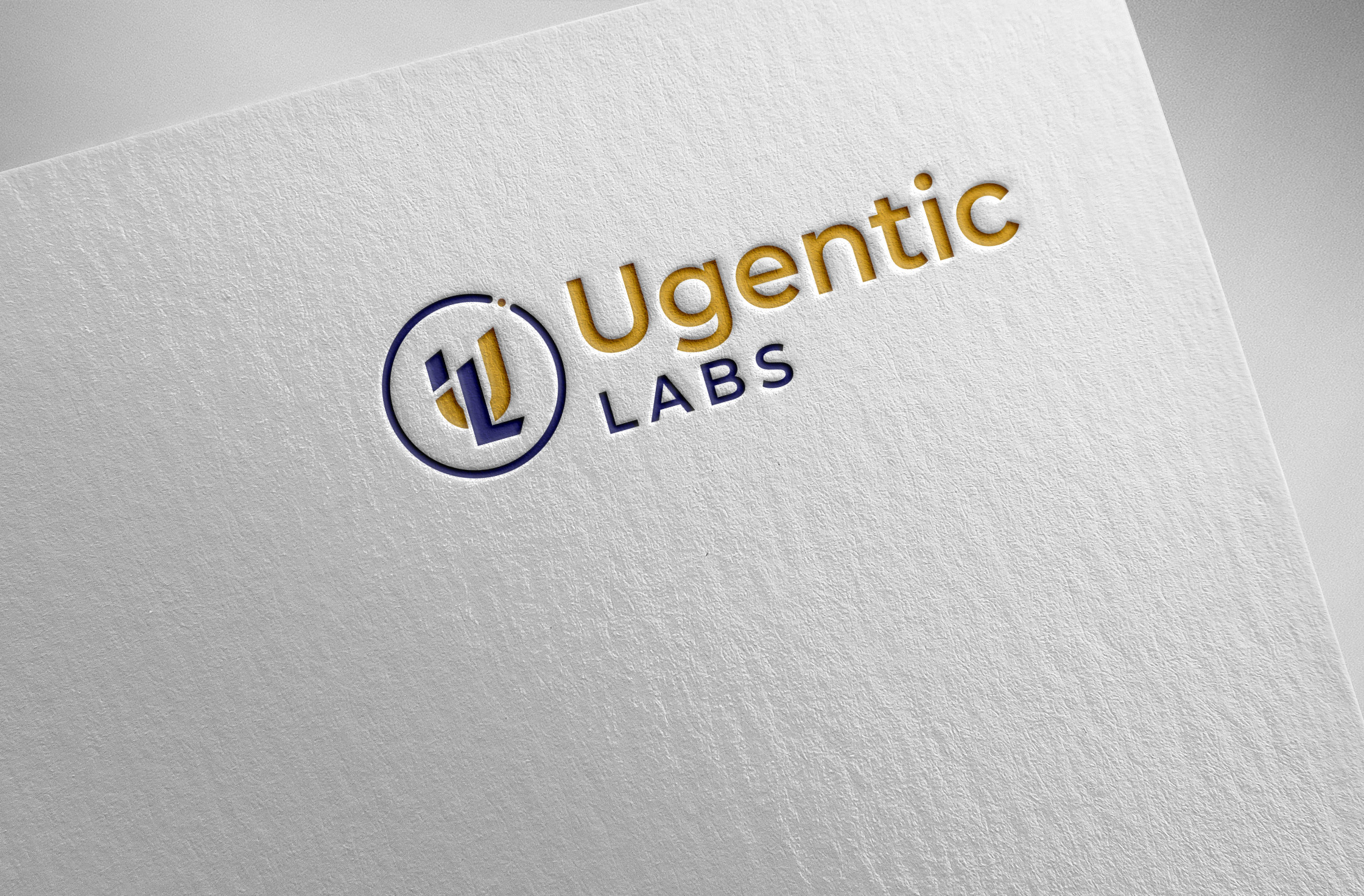 Logo Design by Pilot_DesignR™ for this project | Design #34704857